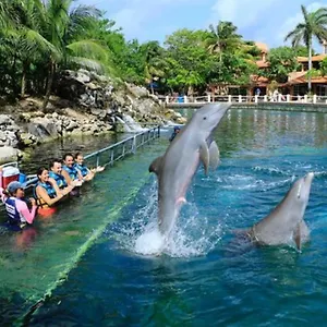 Increible Estudio En Puerto Aventuras, Con Alberca # 201 , Puerto Aventuras México