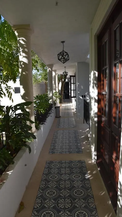 ***  Hotel Zamna Merida Mexico